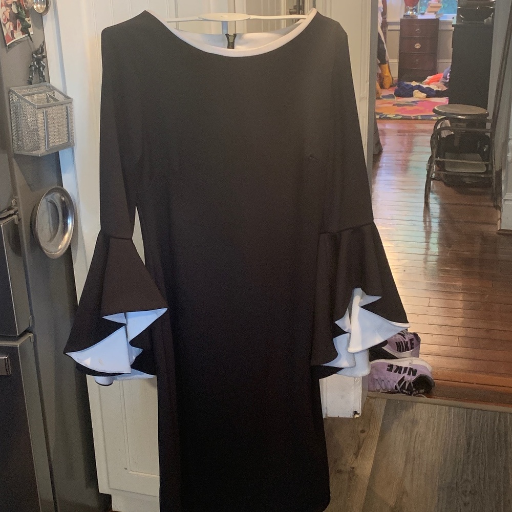 Shelby and Palmer exaggerated bell sleeve dress. Worn a few times